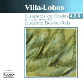 Bessler-Reis cover