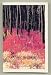 Search : The burn (Salmon run pamphlet series I)
