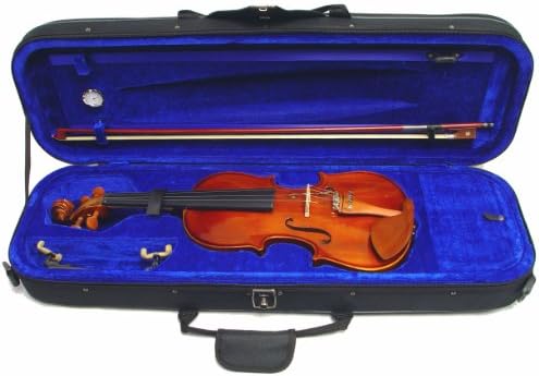 ViolinSmart OC12 Oblong Violin Case (4/4 Full Size, Color: Blue)