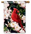 Mailwraps Garden Cardinal Standard Flag