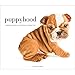 Puppyhood: Life-size Portraits of Puppies at 6 Weeks Old