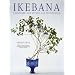 Ikebana : L'histoire, les styles, les techniques