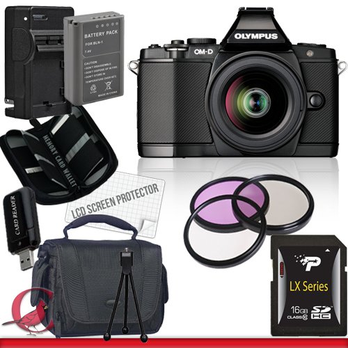 review Olympus E-M5