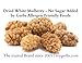 Dried White Mulberries By Gerbs No Sugar Added- 2 LBS Premium Grade A Mulberry- Top 10 Food Allergen Free & NON GMO - Sulphur Dioxide & Potassium Sorbate Free - Country of Origin Turkey- Packaged in Rhode Island