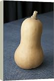 Box Canvas Print of Butternut squash from Science Photo Library