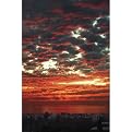 Sun Splash Gallery Wrapped Canvas - 22x28"