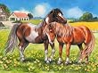 Ponies Jigsaw Puzzle 35pc