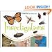 Insectigations: 40 Hands-on Activities to Explore the Insect World