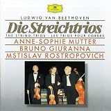 Beethoven: Die Streichtrios (The String Trios)