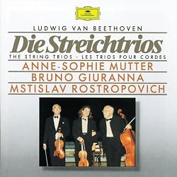 Beethoven: Die Streichtrios (The String Trios)