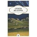Cavalier des steppes - A travers les montagnes d'Asie Centrale