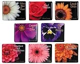 Harold Feinstein Assorted Mini Flower Magnet Set - Fresh Flowers