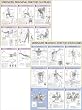 Strength Training Anatomy Poster Series