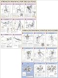 Strength Training Anatomy Poster Series