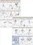 Strength Training Anatomy Poster Series