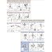Strength Training Anatomy Poster Series