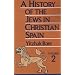 A History of the Jews in Christian Spain, Vol. 2