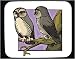 Mouse Pad with barn, owl, pair, branch, bird