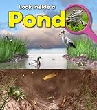 Look inside a pond