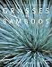 Book Grasses and Bamboos: Using Form and Shape to Create Visual Impact in the Garden