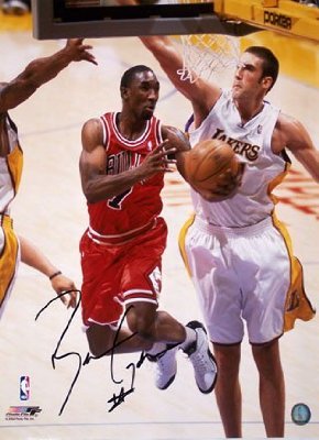 Ben Gordon Chicago Bulls Autographed / Signed 16x20 Photo