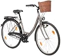 Texo Damen Cityrad, 1-Gang Rücktrittbremsnabe, mit Weidenkorb, bronx, 45 cm, Reifengröße: 28 Zoll (71,1 cm)