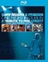 One Night in Dublin-a Tribute to Phil Lynott [Blu-ray]