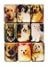 Dogs in Art Magnets Set of 9