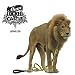 Image of Lions Led