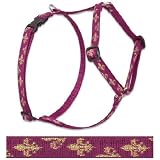 Royal Gold 1/2 in Roman Style Harness (12-20in)