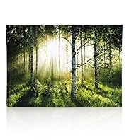 Forest Dawn Wall Art