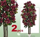 TWO 6' Burgundy Magnolia Real Wood Trunks Artificial Trees each with approx. 35 flowers 21 buds