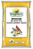 Wagner's 76027 Black Oil Sunflower, 25-Pound Bag
