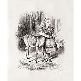 Alice and the fawn, by John Tenniel (Print On Demand)