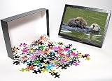 Photo Jigsaw Puzzle of TOM-1645 Sea Otter - mother carrying young (under three weeks) pup from Ardea Wildlife Pets