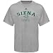adidas Siena Saints Ash 2009 Practice T-shirt