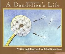 Nature Upclose: A Dandelion's Life