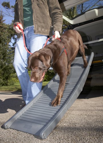PetSTEP Tote’N Store Folding Pet Ramp