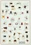 Arachnids, Spider Wall Poster Print, 26.75x38.5