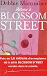 Retour � Blossom Street