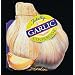Totally Garlic Cookbook (Totally Cookbooks)