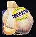 Totally Garlic Cookbook (Totally Cookbooks)