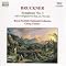 Bruckner and Mahler Unboxed