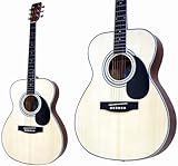 TAKAMINE Cooder CF-1/NAT AR[XeBbNM^[