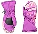 Dakine Brat Mitt