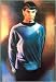 Star Trek - Mr. Spock by Unknown. Size 25.00 inches width by 37.00 inches height. High Quality Art Poster Print