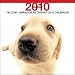labrador10  - Yellow Labrador Retriever Dog by THE DOG Artlist