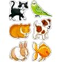 Orchard Toys Pets