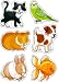Orchard Toys Pets