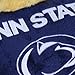 Creative Converting Penn State Nittany Lions Plastic Banquet Table Cover, 54 x 108